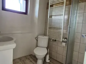 Prodej rodinného domu, Radnice, Dědická, 240 m2