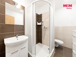 Prodej bytu 2+1, Brno - Žabovřesky, Luční, 50 m2