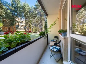 Prodej bytu 2+1, Brno - Žabovřesky, Luční, 50 m2