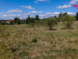 Prodej pozemku pro bydlení, Nový Oldřichov, 1154 m2