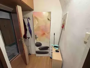 Prodej bytu 1+kk, Jihlava, Havířská, 18 m2