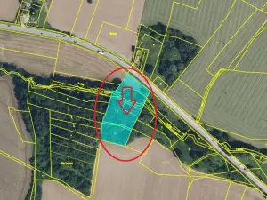 Prodej lesa, Kněžnice, 6851 m2