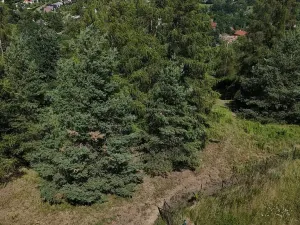 Prodej pozemku, Čtyřkoly, 1583 m2