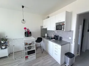 Pronájem bytu 1+kk, Plzeň - Bolevec, Studentská, 28 m2
