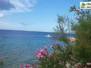 Prodej rodinného domu, Mandre, Chorvatsko, 88 m2
