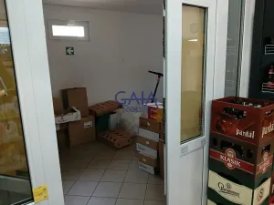 Prodej obchodního prostoru, Velim, Riegrova, 218 m2