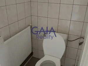 Prodej obchodního prostoru, Velim, Riegrova, 218 m2