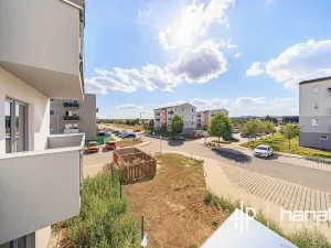 Pronájem bytu 2+kk, Mohelnice, Za Penzionem, 43 m2