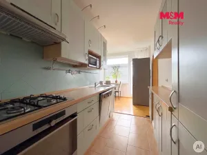 Pronájem bytu 3+1, Ústí nad Labem - Ústí nad Labem-centrum, Hoření, 62 m2