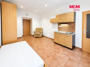 Pronájem bytu 1+kk, Praha - Vinohrady, Radhošťská, 24 m2
