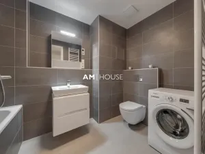 Pronájem bytu 1+kk, Praha - Karlín, Breitfeldova, 32 m2
