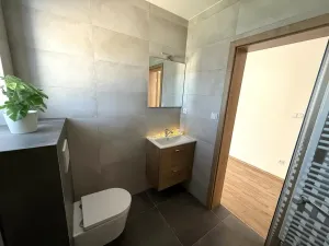 Pronájem bytu 2+kk, Brno - Ivanovice, Hřebíčková, 48 m2