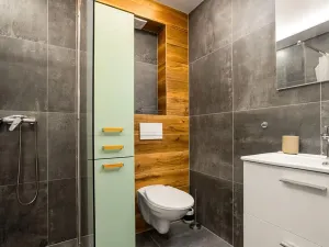 Pronájem bytu 1+kk, Abertamy, Pražská, 45 m2