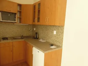 Pronájem bytu 1+kk, Brno, Stará, 26 m2
