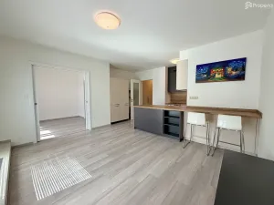 Pronájem bytu 2+kk, Brno, U Červeného mlýna, 53 m2