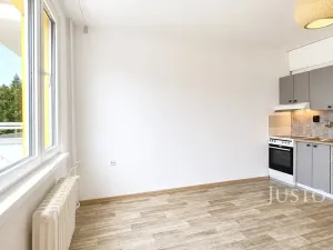 Pronájem bytu 1+kk, Písek, 17. listopadu, 19 m2