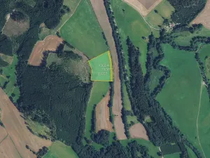 Prodej louky, Borovnice, 16910 m2