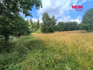 Prodej louky, Nejdek - Bernov, 1479 m2