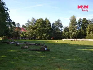 Prodej výrobních prostor, Miletín, Lhotova, 22000 m2