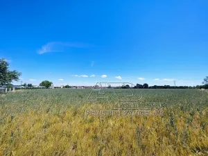 Prodej pole, Vodňany, Stožická, 3872 m2