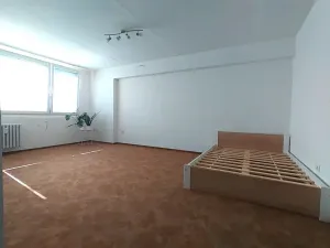 Pronájem bytu 1+1, Mladá Boleslav, Havlíčkova, 43 m2