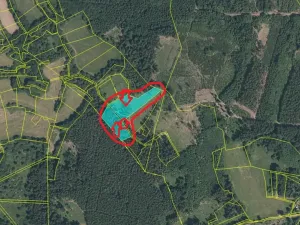 Prodej podílu lesa, Kramolín, 1401 m2