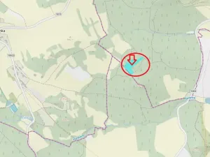 Prodej podílu lesa, Kramolín, 1401 m2