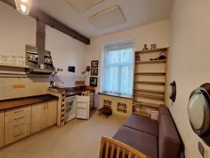 Pronájem bytu 1+kk, Praha - Žižkov, Ondříčkova, 18 m2