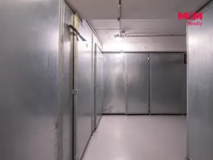 Prodej obchodního prostoru, Praha - Žižkov, Biskupcova, 54 m2