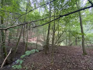 Prodej louky, Strážná, 2049 m2