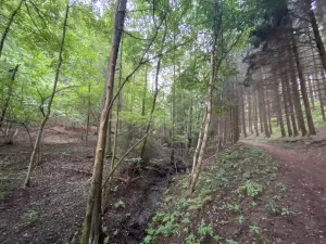 Prodej louky, Strážná, 2049 m2