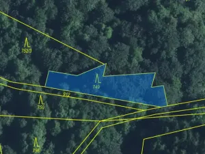 Prodej lesa, Strážná, 589 m2