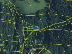 Prodej lesa, Strážná, 589 m2