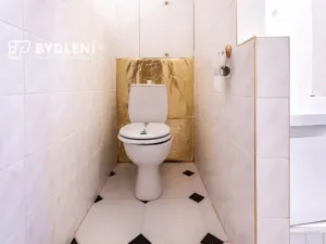 Prodej bytu 3+1, Teplice, Trnovanská, 70 m2