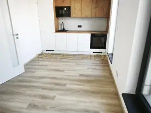 Pronájem bytu 1+kk, Brno - Jehnice, Kleštínek, 29 m2