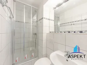 Pronájem bytu, Praha - Vinohrady, Londýnská, 17 m2