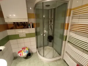 Pronájem pokoje, Brno, Matlachova, 11 m2