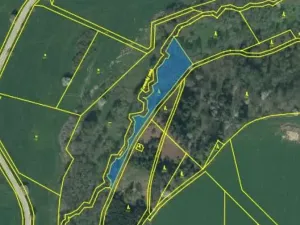 Prodej lesa, Dolní Hořice, 2471 m2