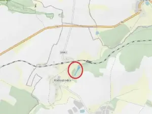 Prodej lesa, Dolní Hořice, 2471 m2