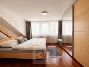 Pronájem vily, Brno, Březinova, 362 m2