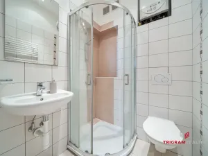 Prodej bytu 2+kk, Hradec Králové - Pražské Předměstí, Horova, 48 m2