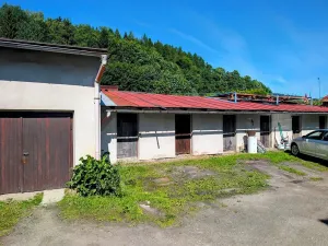 Prodej bytu 1+1, Plavy, 64 m2
