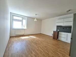 Pronájem bytu 1+kk, Praha - Kamýk, Novodvorská, 32 m2