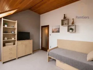 Prodej rodinného domu, Brno, Palírenská, 246 m2