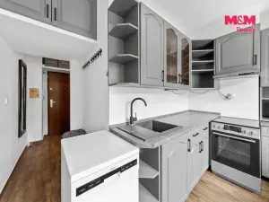 Prodej bytu 2+1, Ústí nad Labem - Neštěmice, Studentská, 53 m2