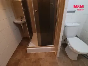 Prodej bytu 1+kk, Most, Česká, 33 m2