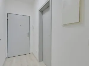 Pronájem bytu 1+kk, Olomouc, Edmunda Husserla, 30 m2