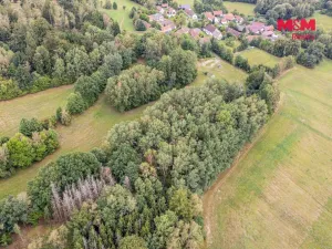 Prodej lesa, Rodná, 281 m2