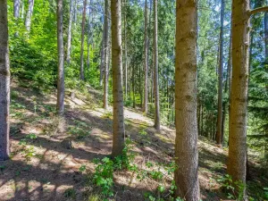 Prodej chalupy, Leština, 130 m2