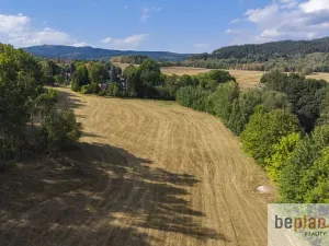Prodej pozemku pro bydlení, Merklín, 1128 m2